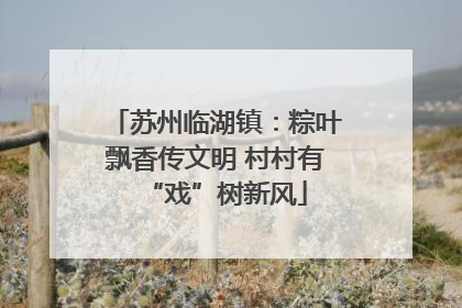 苏州临湖镇：粽叶飘香传文明 村村有“戏”树新风